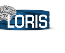 Loris Modules
