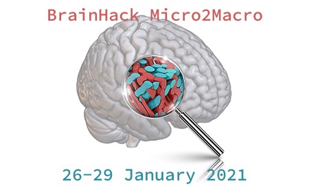 Micro2Macro Brainhack 2021