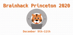 Brainhack Princeton