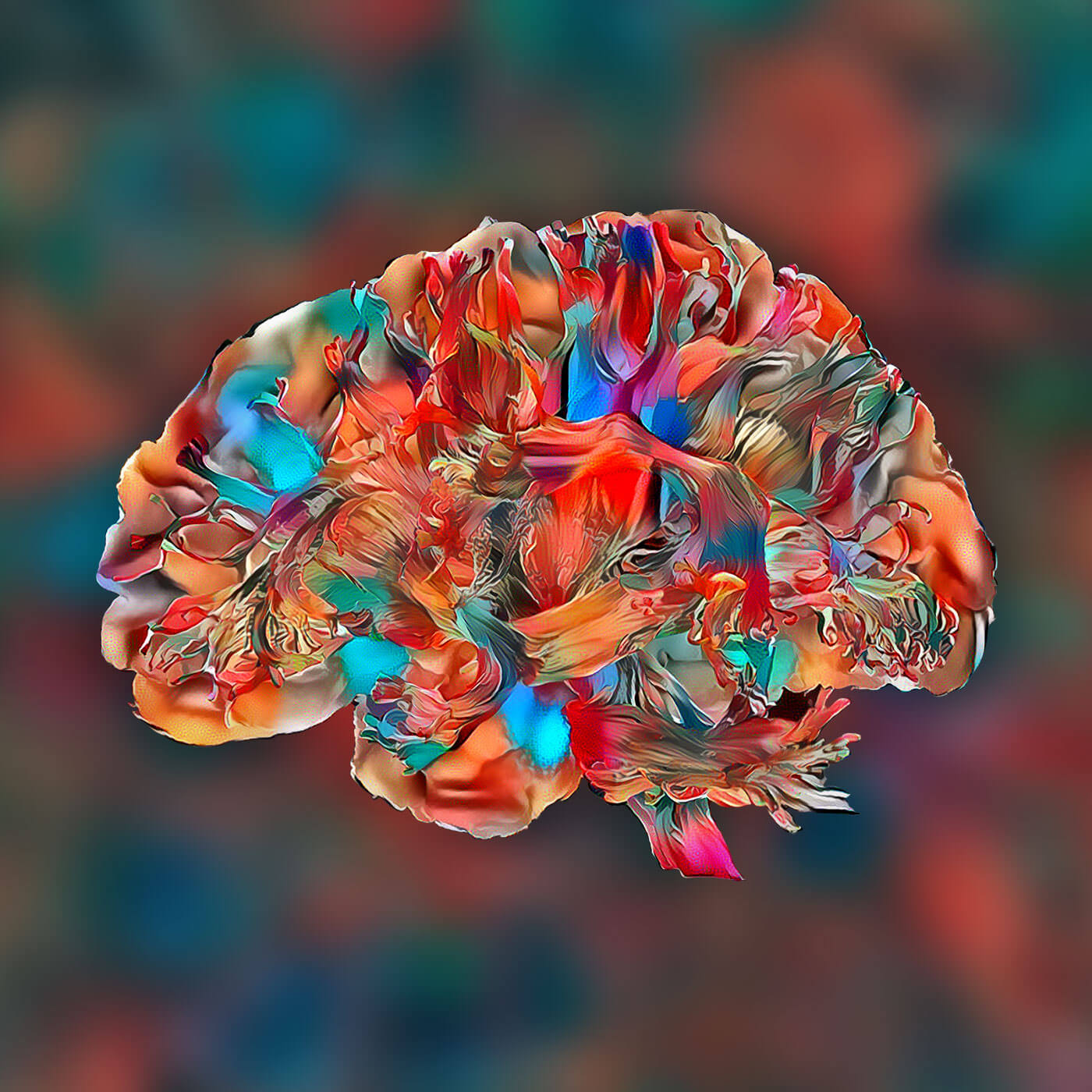 | Brainhack Global 2022