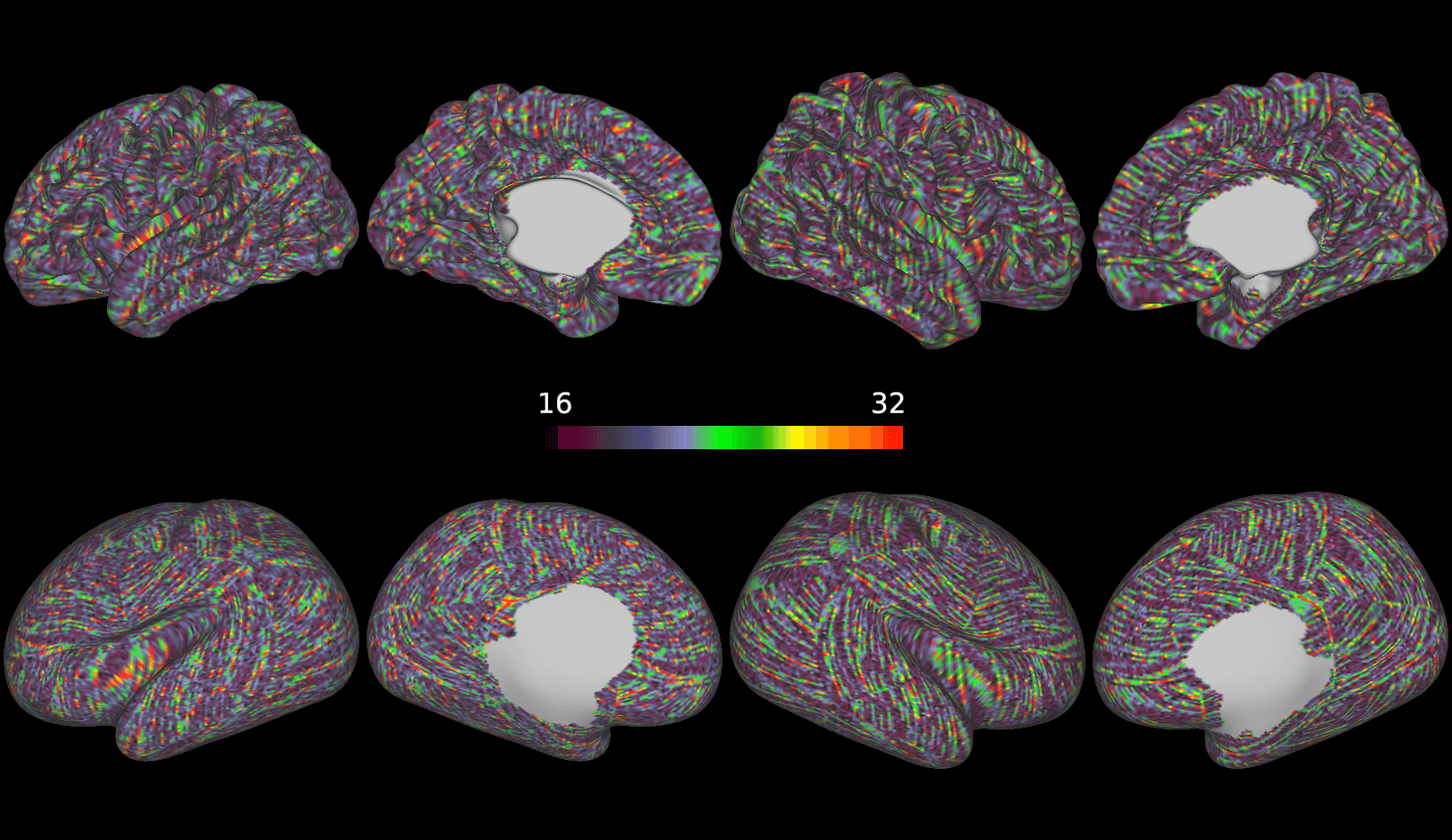 Yarn Brain PaolaGaldi